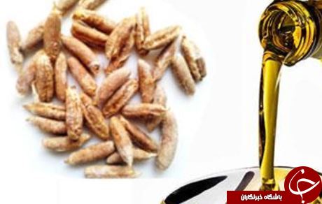 :)از خواص جادویی روغن هسته خرما چه می دانید؟!/ فواید درمانی و دارویی روغن هسته خرما:)