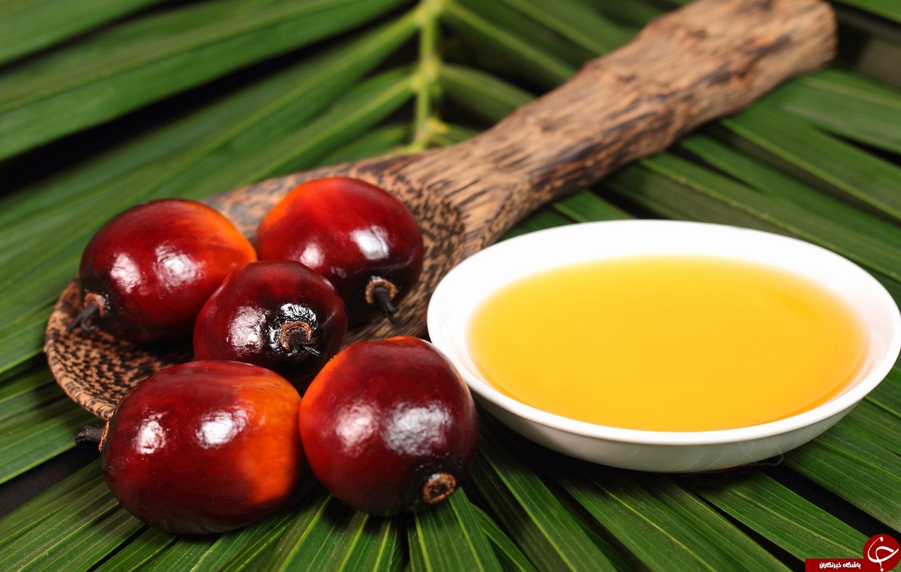 :)از خواص جادویی روغن هسته خرما چه می دانید؟!/ فواید درمانی و دارویی روغن هسته خرما:)
