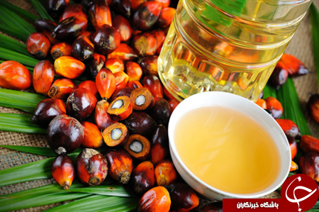 :)از خواص جادویی روغن هسته خرما چه می دانید؟!/ فواید درمانی و دارویی روغن هسته خرما:)