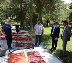 سامان‌دهی حفاظتی دست‌بافت‌های بومی سعدآباد با همکاری استاد دانشگاه کاشان
