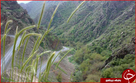 کردستان/ کردستان نگینی در غرب کشور