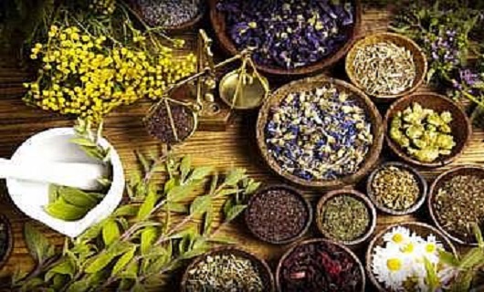 بوعلی سینا طبیبی که به جسم وجان جلا می بخشد