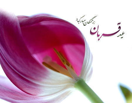 پوستر و والپیپرهای زیبا به مناسبت عید قربان