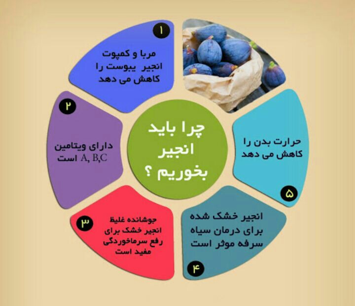 میوه&zwnj;ای که داروخانه&zwnj;ای طبیعی برای بدنتان است + اینفوگرافی