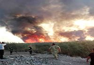 آتش سوزی  نیزارهای منطقه بریم آبادان