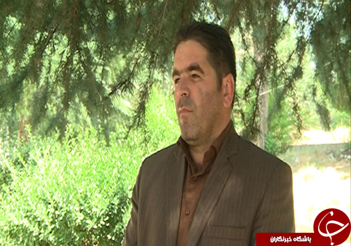 بذر چند درصد از صیفی جاتی که می خوریم داخلی است ؟ بذر چند درصد از صیفی جاتی که می خوریم داخلی است ؟