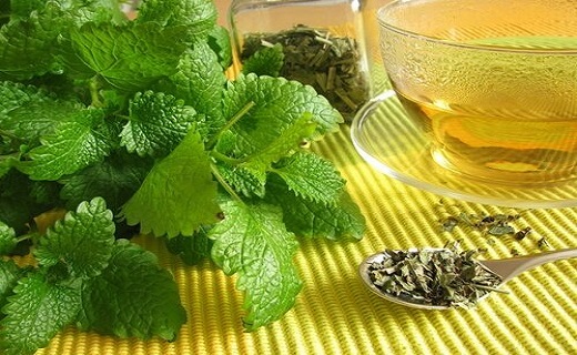 &Oslash;&uml;&Oslash;&sect;&Oslash;&macr;&Oslash;&plusmn;&Ugrave;&Oslash;&not;&Oslash;&uml;&Ugrave;&Ucirc;&Ugrave;: &Uacute;&macr;&Ucirc;&Oslash;&sect;&Ugrave;&Ucirc; &Uacute;&copy;&Ugrave;&Oslash;&ordf;&Oslash;&plusmn; &Oslash;&acute;&Ugrave;&Oslash;&sect;&Oslash;&reg;&Oslash;&ordf;&Ugrave; &Oslash;&acute;&Oslash;&macr;&Ugrave; &Oslash;&uml;&Oslash;&sect; &Oslash;&reg;&Ugrave;&Oslash;&sect;&Oslash;&micro; &Ugrave;&Ugrave;&Ugrave;&acirc;&Oslash;&sect;&Ugrave;&Oslash;&sup1;&Oslash;&sect;&Oslash;&macr;&Ugrave;
