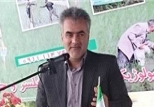 مشاهده آفت مگس میوه در باغات مازندران