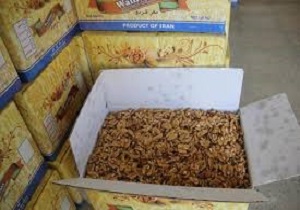 کشف 685 کیلو گرم مغز گردوی خارجی قاچاق درزنجان