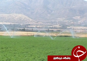 تجهیز ۴۷ هزارو ۲۰۰ هکتار اراضی لرستان به آبیاری نوین مجهز شد