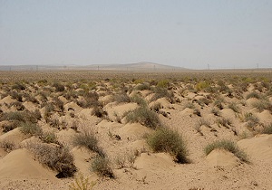 3 میلیون هکتار از اراضی استان تحت فرسایش بادی