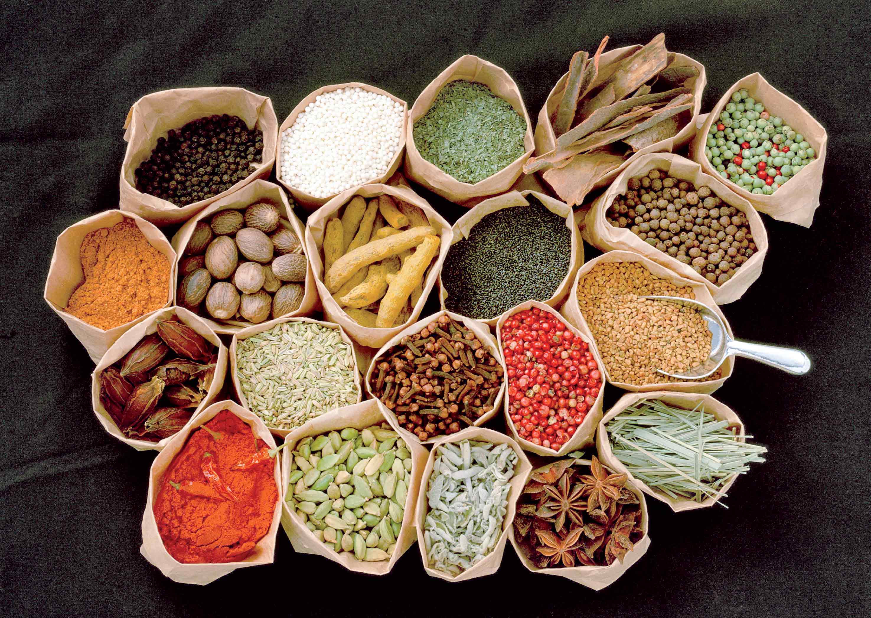 کاهش هزینه سازمان های بیمه گر با توسعه طب سنتی