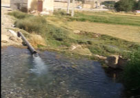 صحنه ناراحت‌کننده هدررفت آب در روستای اکبرآباد + فیلم