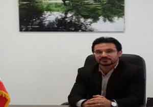 کشف ۶۲ اصله چوب از یک قاچاقچی در عباس آباد