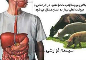 بیماری هزار چهره را بهتر بشناسیم
