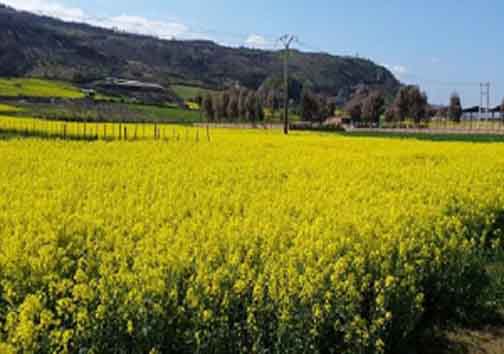 نگاهی گذرا به مهمترین رویداد&zwnj;های چهارشنبه ۳ مرداد در مازندران