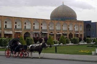 واکنش میراث فرهنگی به حادثه آتش‌سوزی یکی از درختان میدان امام