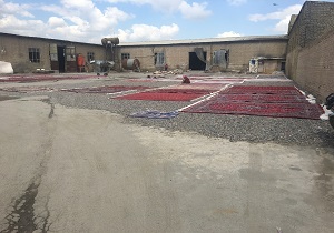 تهدید بهداشت عمومی بر اثر آلایندگی بالای قالیشویی ها