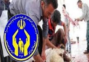 آمادگی ۲۵ پایگاه کمیته امداد برای دریافت نذورات مردم در روز عید قربان