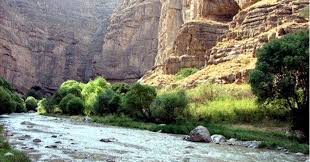 سه سال حبس برای تعلیف غیر مجاز گوسفندان در پارک  ملی تندوره