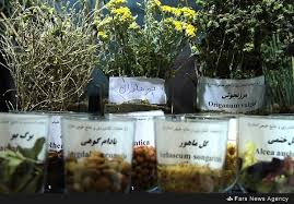 نخستین نمایشگاه گیاهان دارویی در کاشمر افتتاح شد