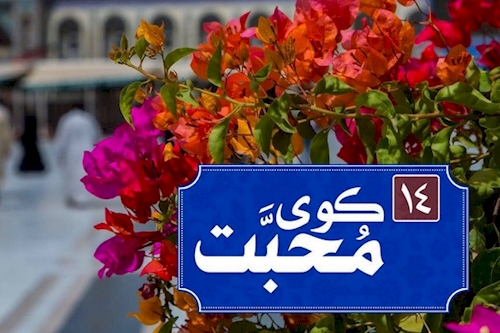 کوی محبت را از حرم سید الکریم (ع) ببنید