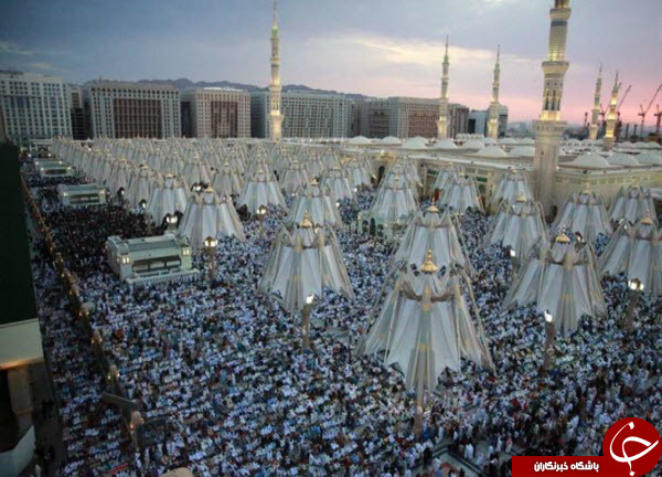 تصاویر باشکوه&zwnj; و معنوی از نماز عید قربان در مسجدالنبی+عکس