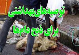 توصیه‌هایی درباره ذبح دام در آستانه عید قربان