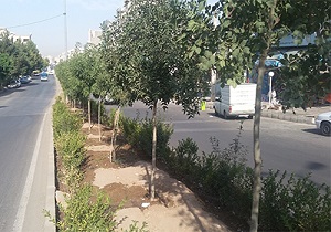 آبیاری قطره‌ای فضای سبز در برخی از مناطق قزوین