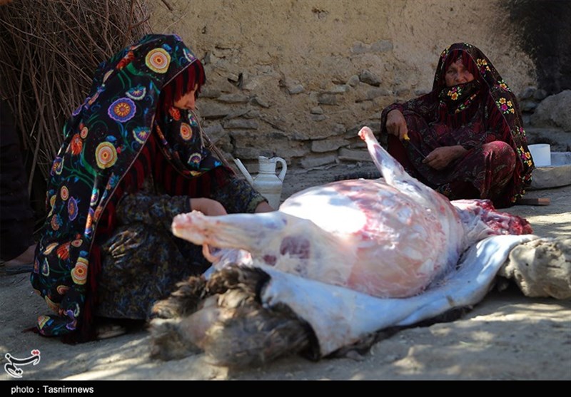 از &laquo;قربانی تا قورمه&raquo;؛ عید قربان در میان اقوام ترکمن خراسان شمالی