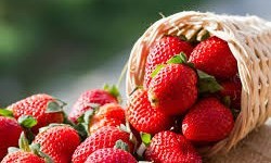 میوه &zwnj;ای که شما را مقابل التهاب روده بیمه می&zwnj;کند!
