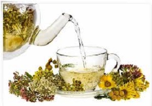 برداشت بیش از ۲ هزار تن بادرشبو در ارومیه/فعالیت بیش از ۵ واحد تولید عرقیات