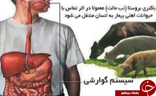 پربازدید&zwnj;های اخبار استان یزد