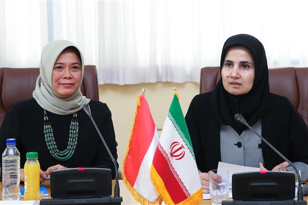 ایران برای ارائه تجربیات حقوقی و قضایی خود به اندونزی آمادگی دارد