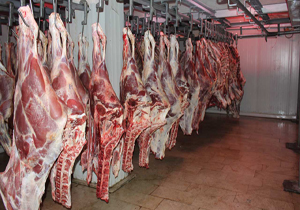 پرداخت یارانه به واردات گوشت قرمز به صلاح تولید داخل نیست