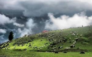 تلاش نیروهای امدادی برای پیدا کردن دانشجوی گم شده در ماسال