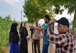کشت ارقام مقاوم به شوری در زمین‌های شالیزاری فریدونکنار