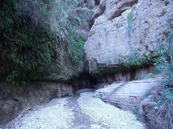 ایران زمین