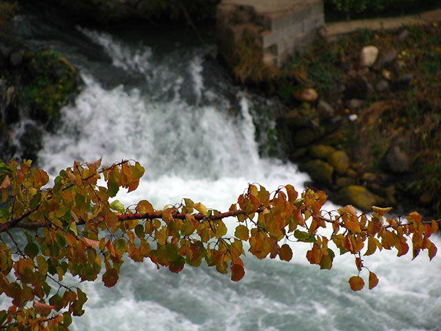 ایران زمین