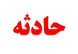 تماشای سوختن جنگل‎های کانادا توسط گردشگران + فیلم