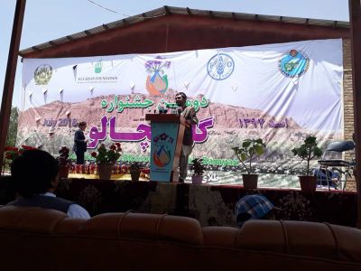برگزاری دومین جشنواره &laquo;گل کچالو&raquo; در بامیان