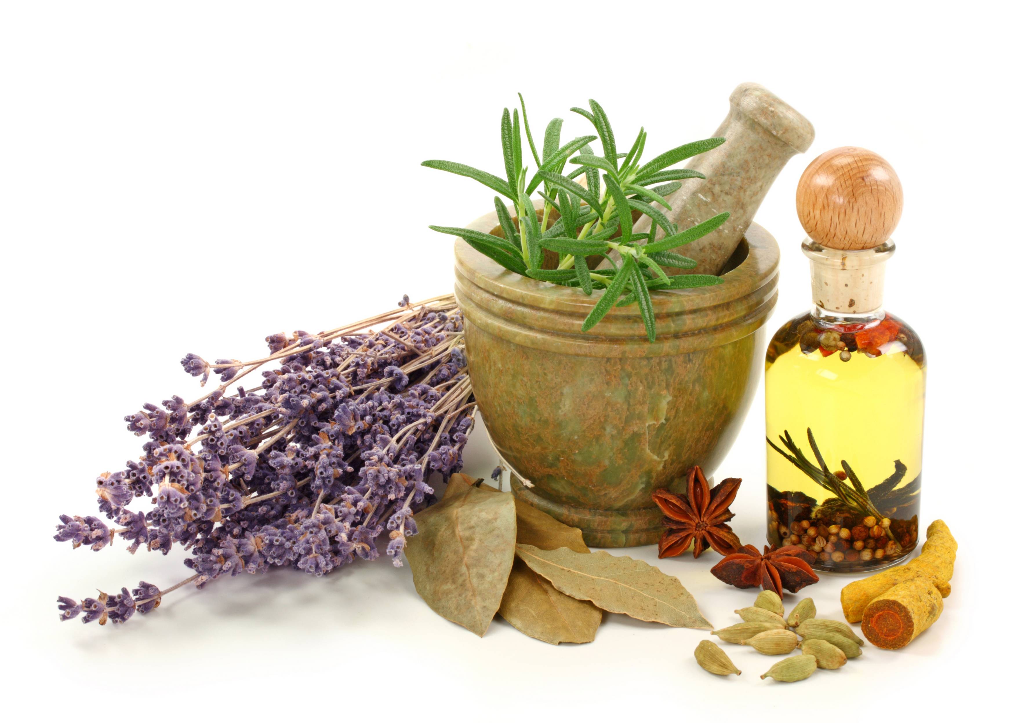 کشت گیاهان دارویی نیاز امروز مناطق کم آب