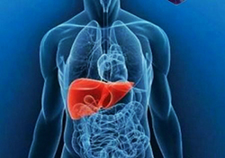 بیماری واگیرداری که در کمین است + فیلم