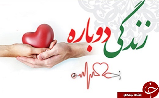 از انجام سیزدهمین اهدای عضو تا دستگیری چهار نفر از سوداگران مرگ در استان یزد