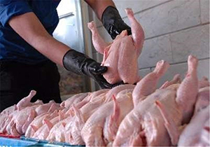 شهرضا با تولید 23 هزار تن گوشت سفید در سال رتبه پنجم استان اصفهان را دارد