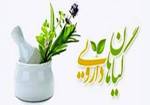 فارس پیشتاز در صادرات دمنوش گیاهی به فرانسه