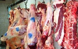 دو ماه حبس در انتظار مدیر کشتارگاه دام بهمئی