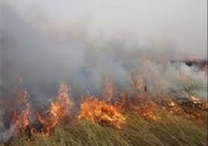 آتش سوزی در نیزارهای انتهای منطقه آلبونایی در خرمشهر