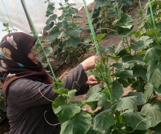 ناگفته&zwnj;های یک بانوی کارآفرین/از آرزوی خوردن آبگوشت با مسئولان کمیته امداد تا برندی خاص که میان بارفروشان معروف است