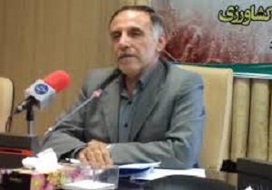 تولید ۱۰ درصد ازگندم کشور در استان کردستان
